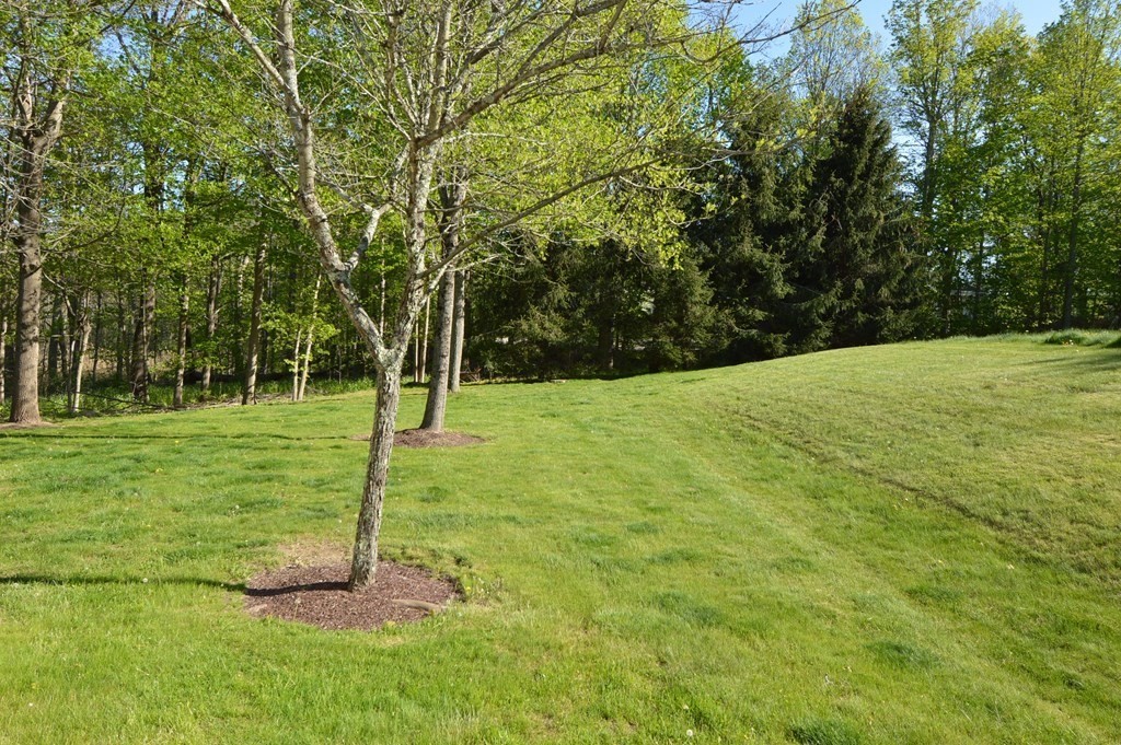 14 Leland Farm Road, Unit 14 Sherborn, MA 01770 - Photo 38 of 39 Gallery Image 38