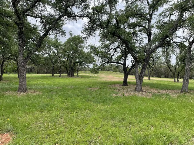 a view of grassy field with benches and trees all around