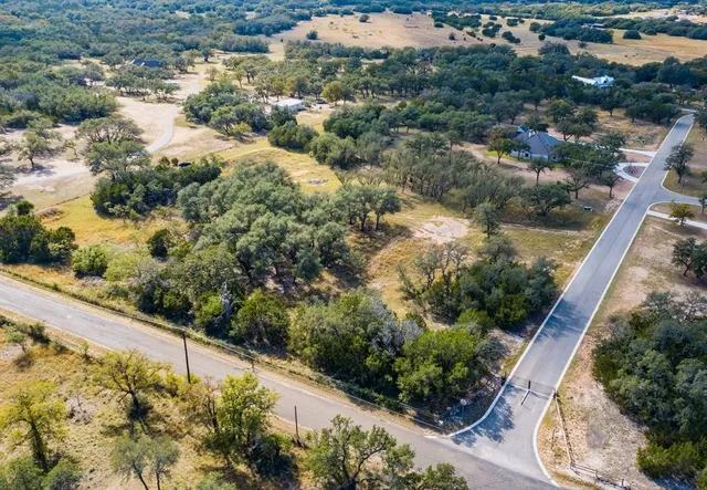 a view of a yard with potted plants