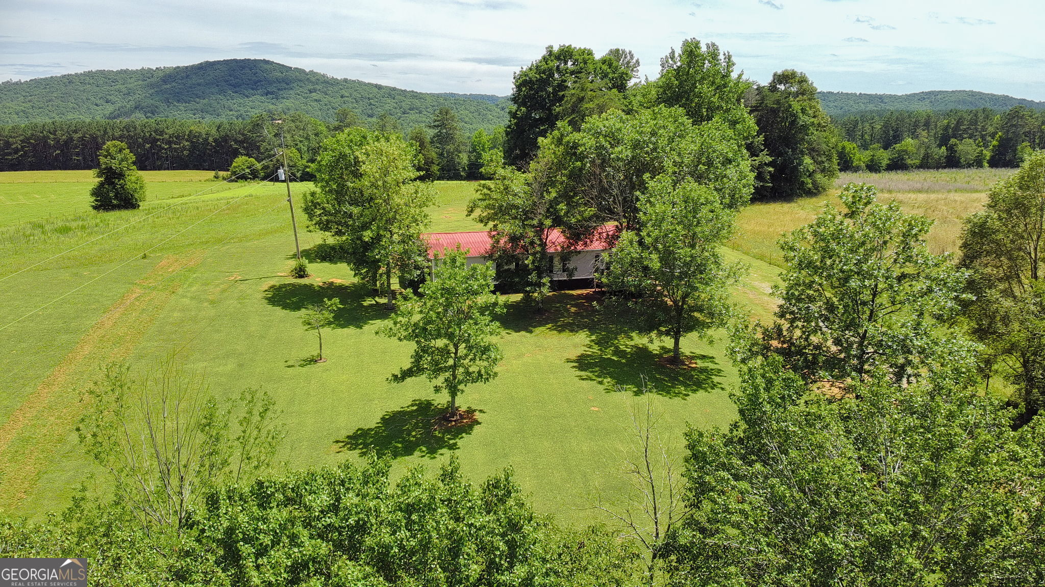 781 Jenkins Gap Road Summerville, GA 30747 - Photo 3 of 45