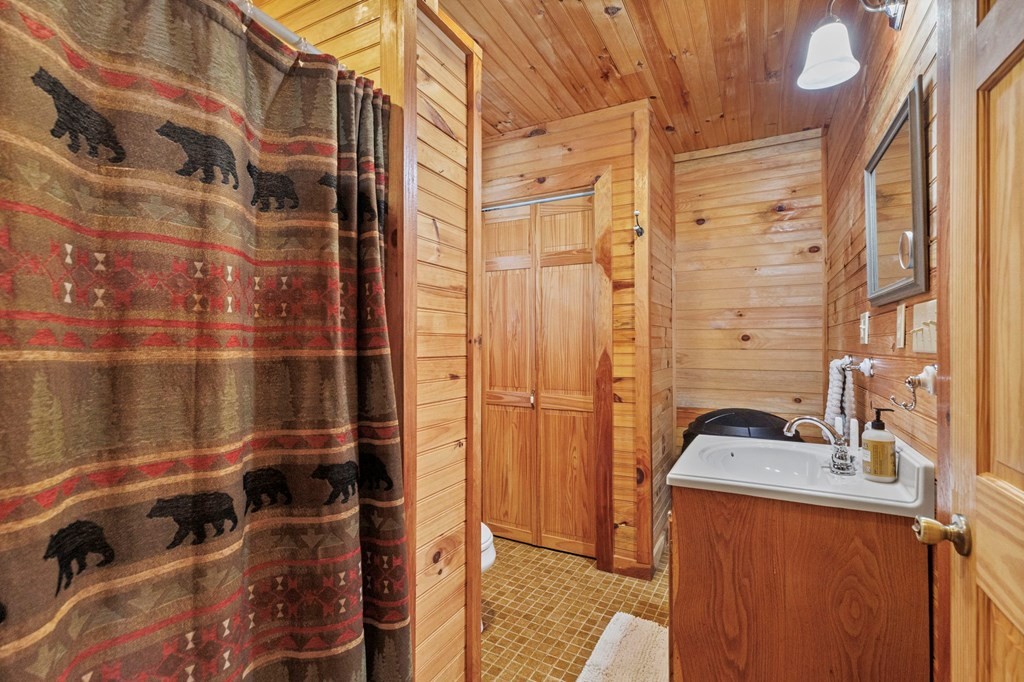 4717 Jerry View Way Cosby, TN 37722 - Photo 28 of 32 Gallery Image 28