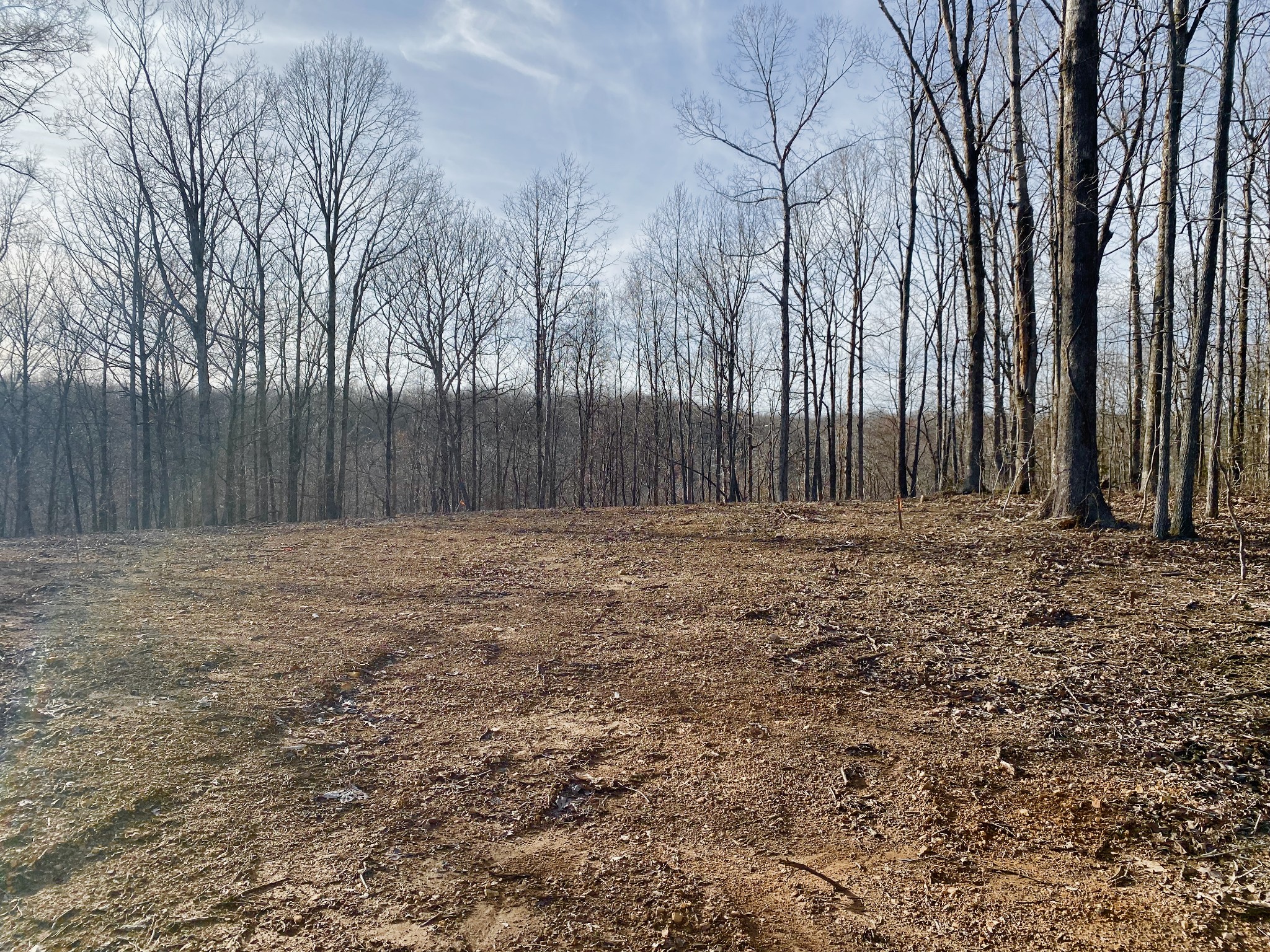 300 Napier Road Hohenwald, TN 38462 - Photo 8 of 10 Gallery Image 8