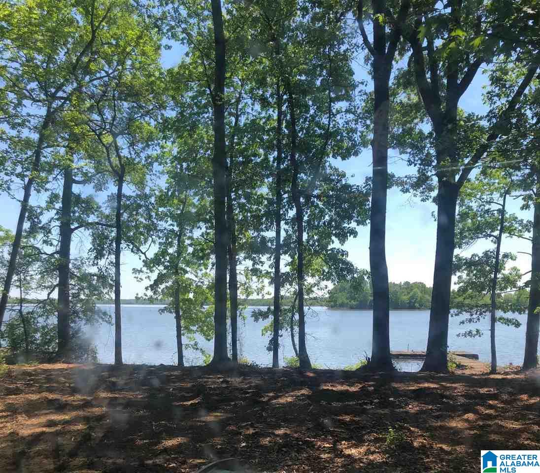 0 County Road 578, Unit 10 Centre, AL 35960 - Photo 3 of 15