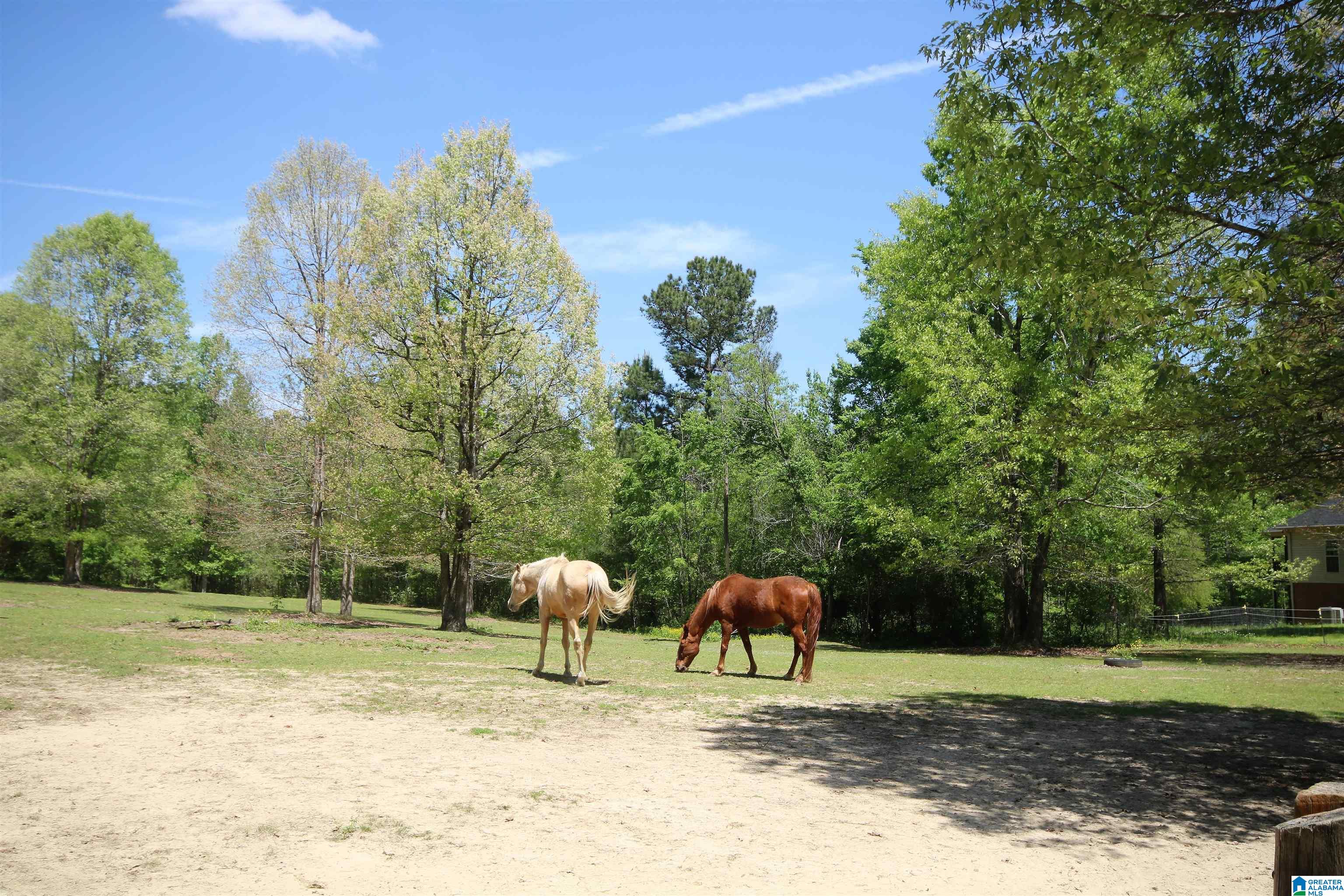 300 Hunters Xing Road Odenville, AL 35120 - Photo 3 of 42