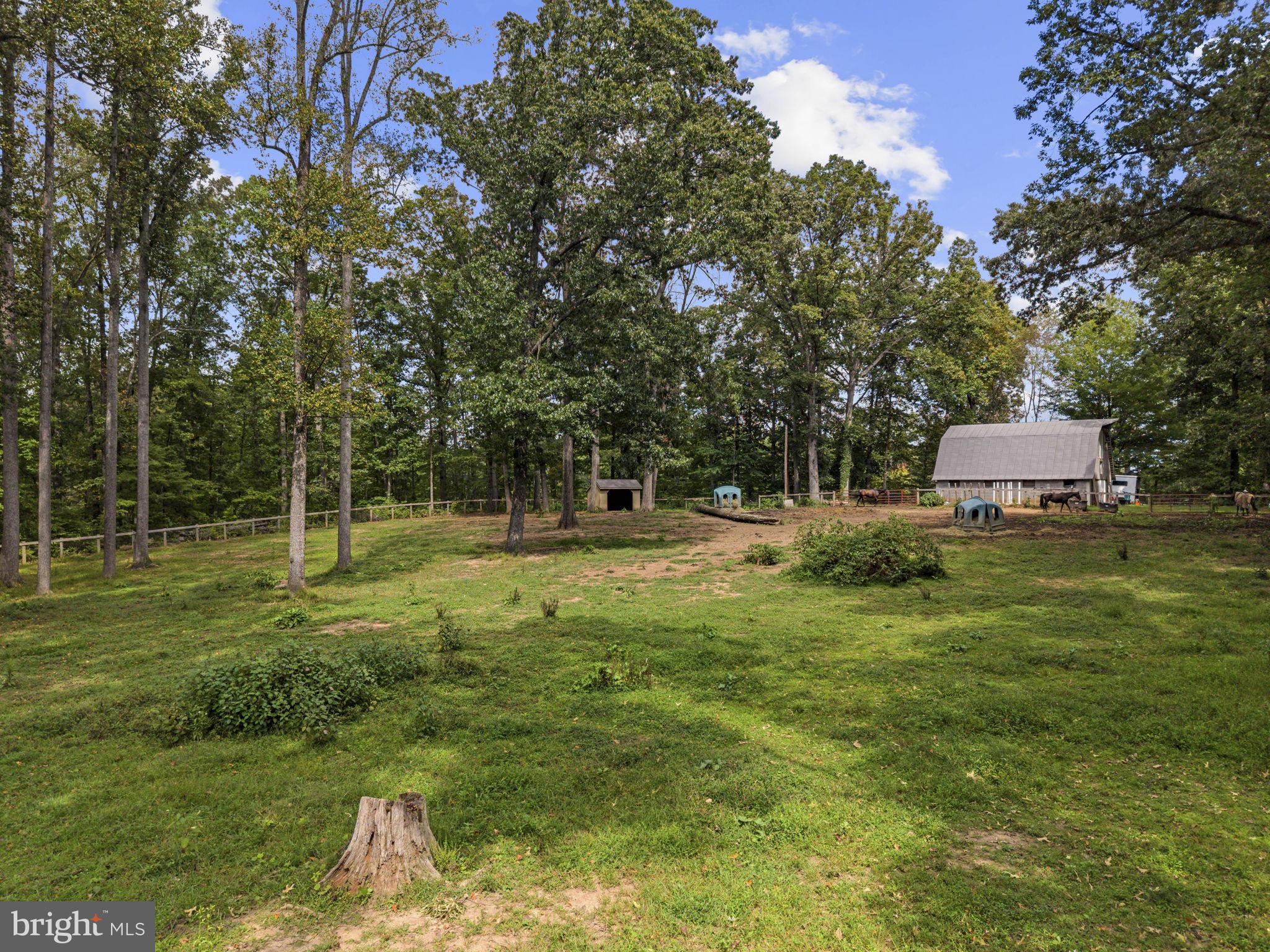 5483 Beach Road Midland, VA 22728 - Photo 10 of 78 View from house to 4 stall barn with paddock