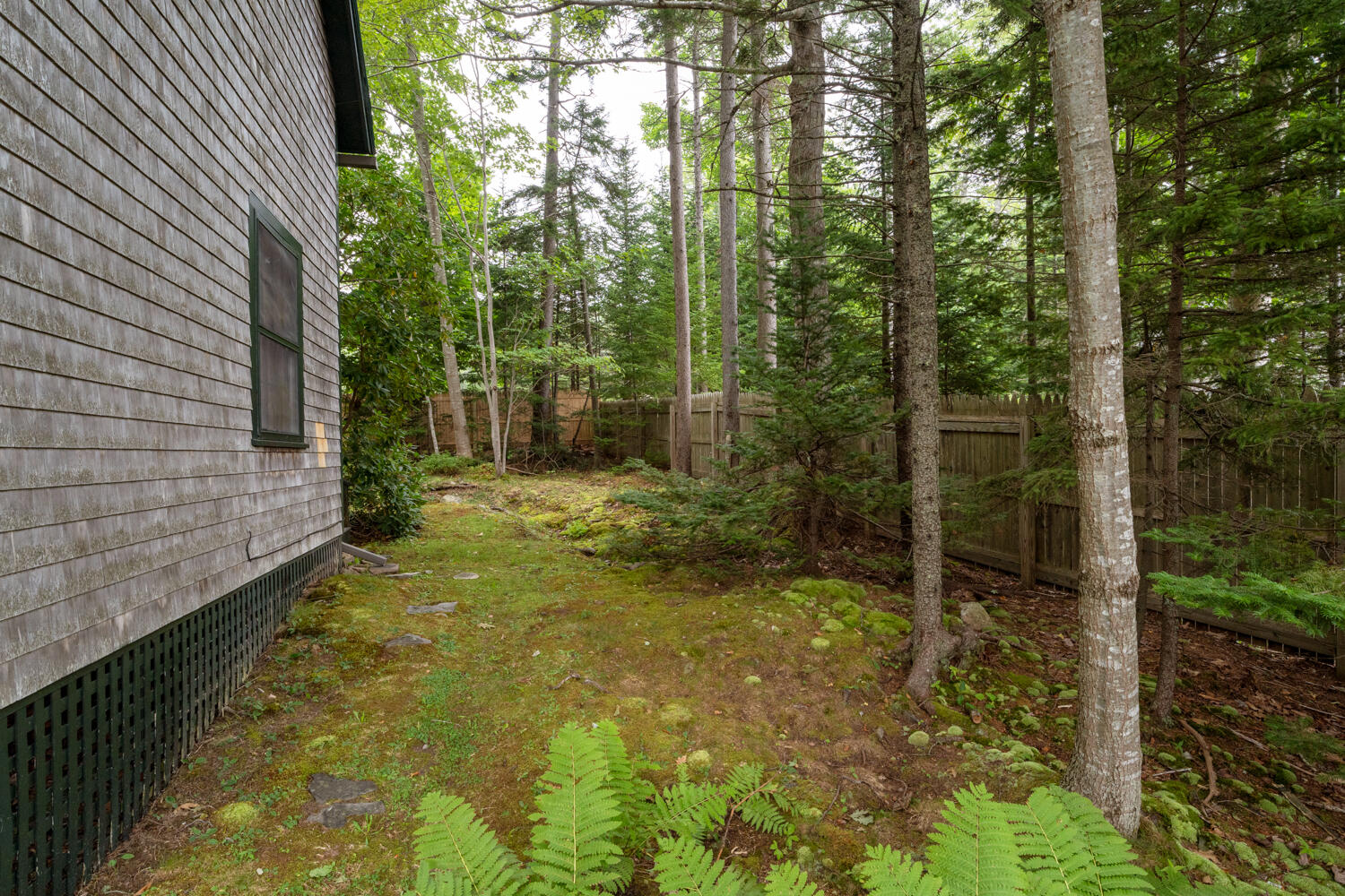 29 Millbrook Road Northeast Harbor, ME 04662 - Photo 40 of 49 29_Millbrook_037