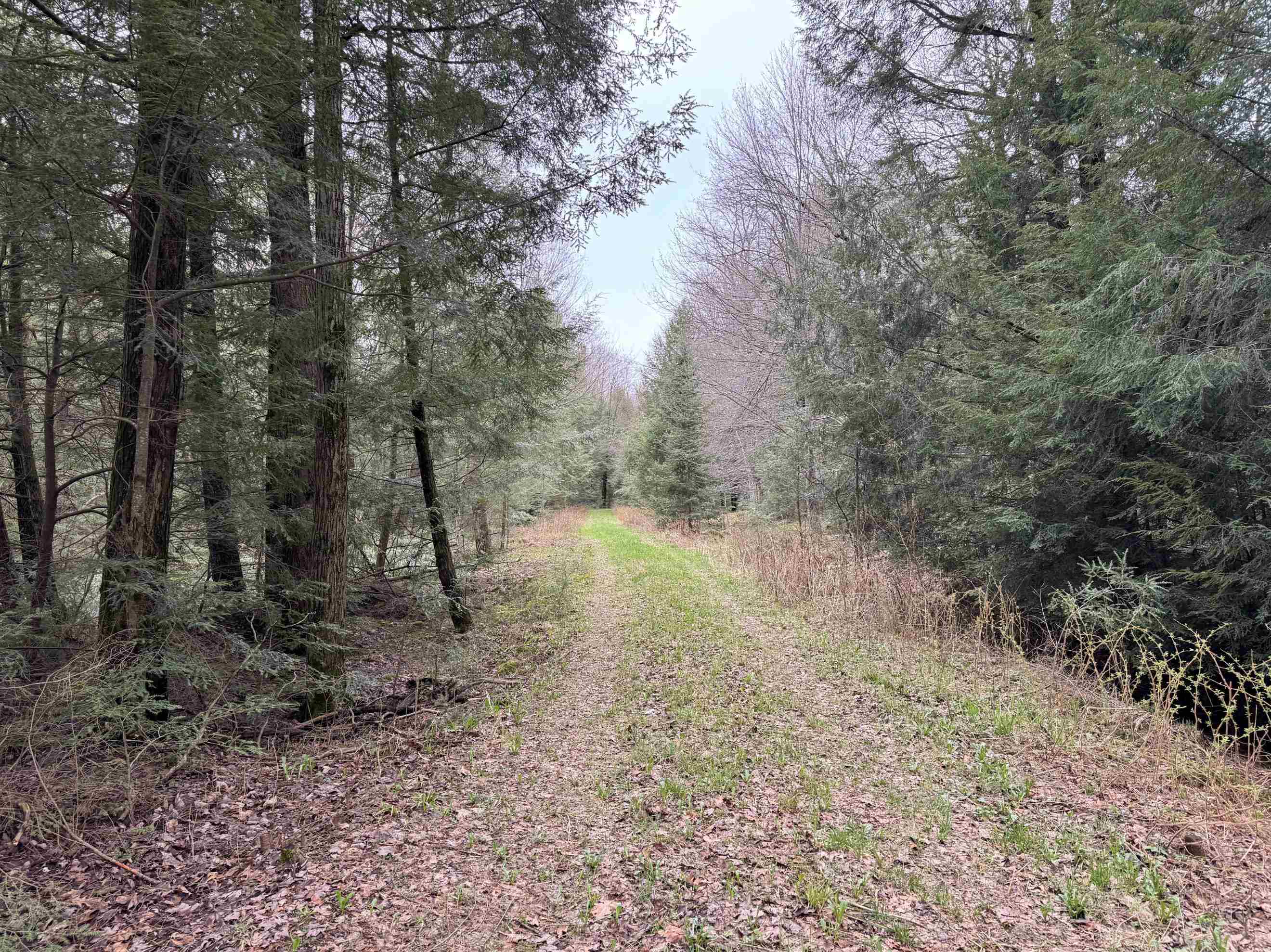118.88-acres On County Rd O Wausau, WI 54401 - Photo 15 of 15