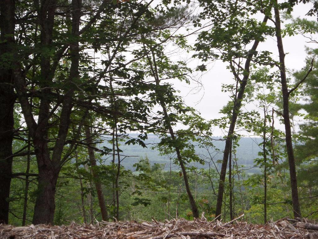 909 Barrett Hill Road Union, ME 04862 - Photo 1 of 7 Distance views to the lakes