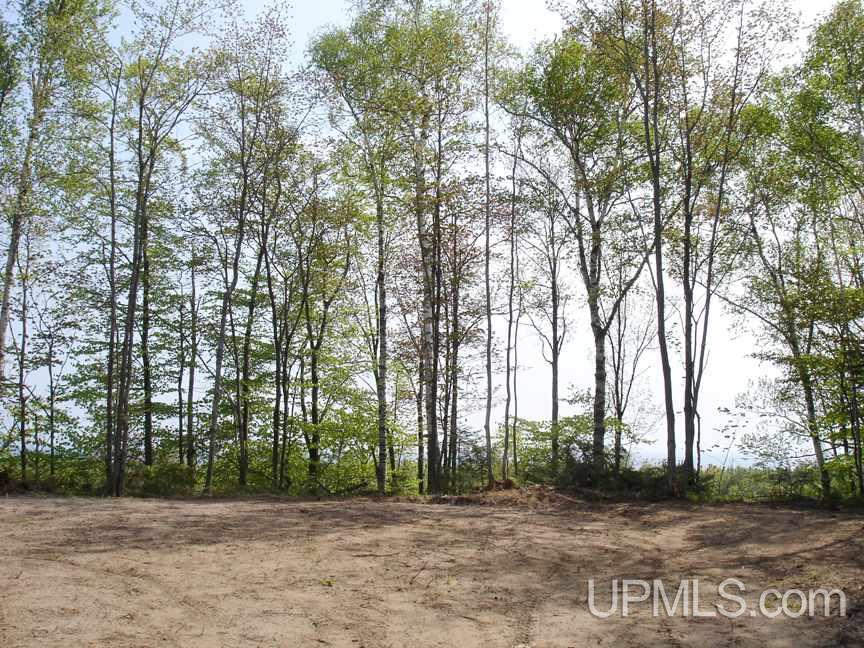 Tbd Northshore Bluffs Road, Unit 3 Manistique, MI 49854 - Photo 4 of 22