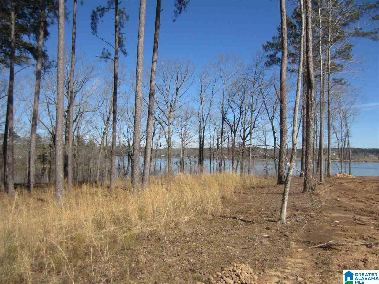 0 Timber Trail, Unit 28 Sylacauga, AL 35151 - Photo 5 of 22