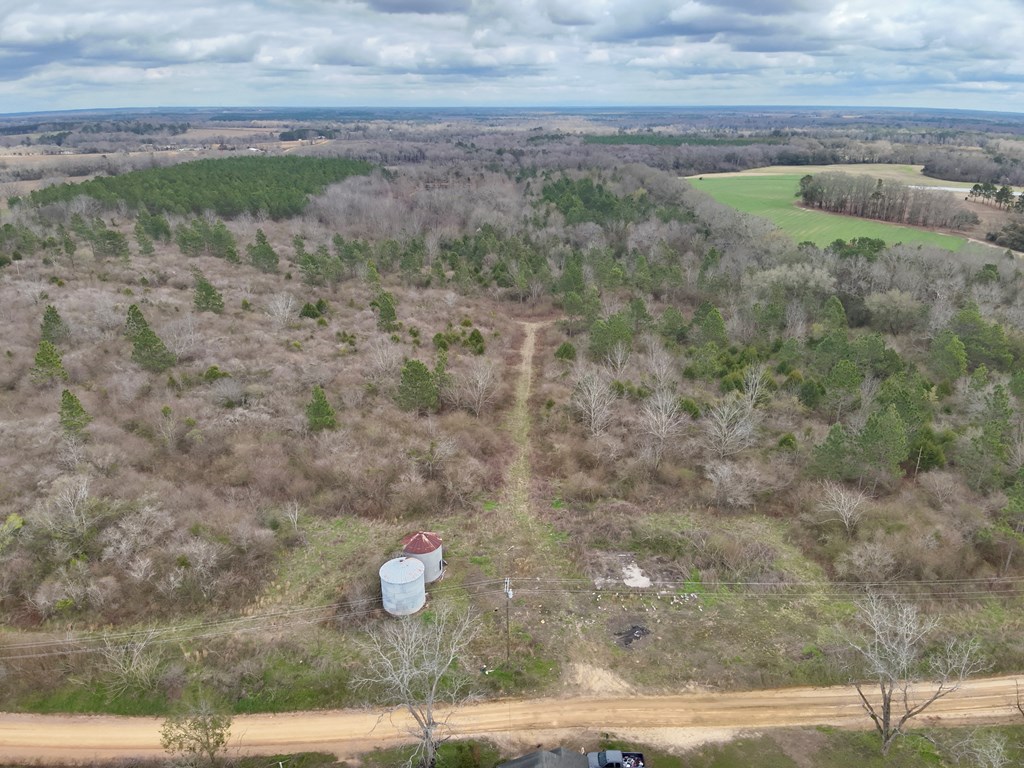 86-acres New Hinson Road Slocomb, AL 36375 - Photo 7 of 15