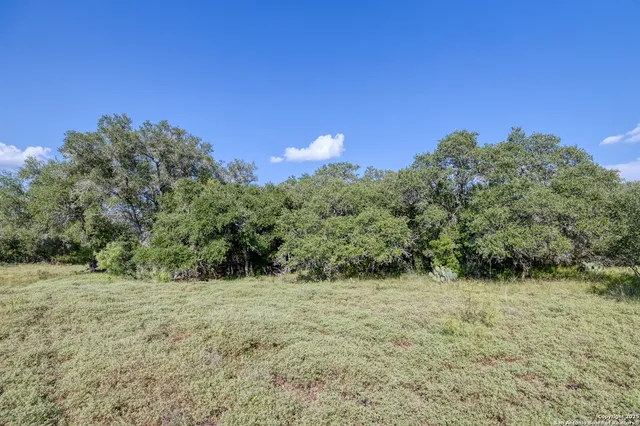 a view of outdoor space and trees