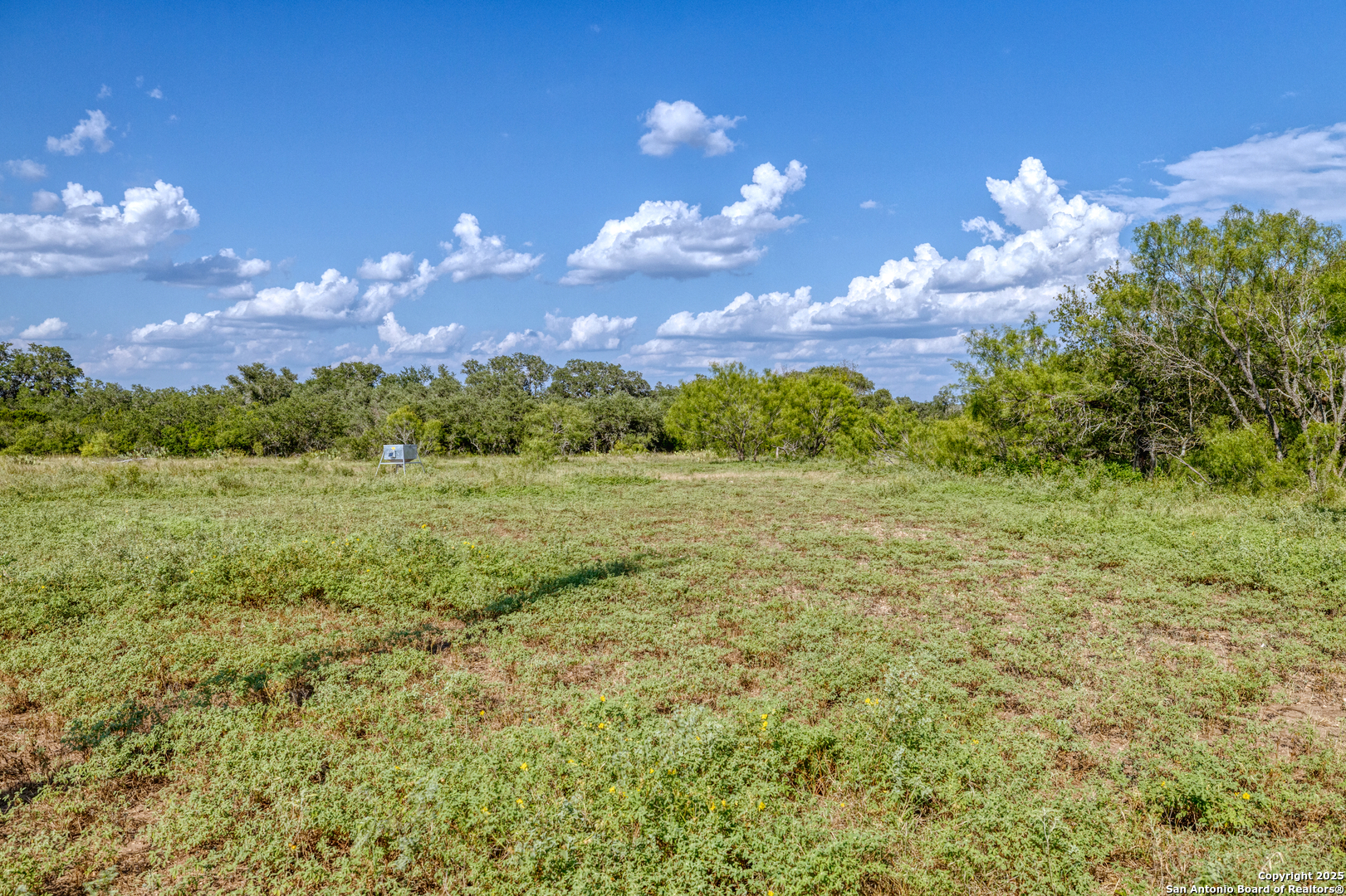 1 Utopia Forest D'Hanis, TX 78850 - Photo 13 of 36 a view of a golf course with yellow lighting