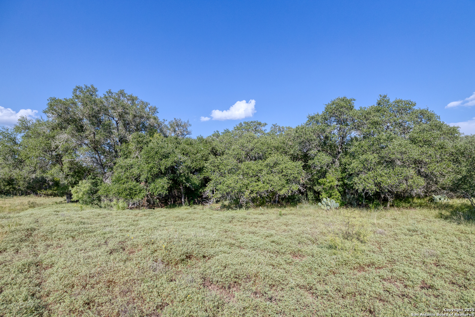 1 Utopia Forest D'Hanis, TX 78850 - Photo 15 of 36 a view of outdoor space with trees all around