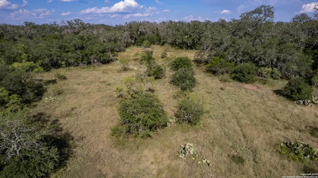 a view of a yard with a tree