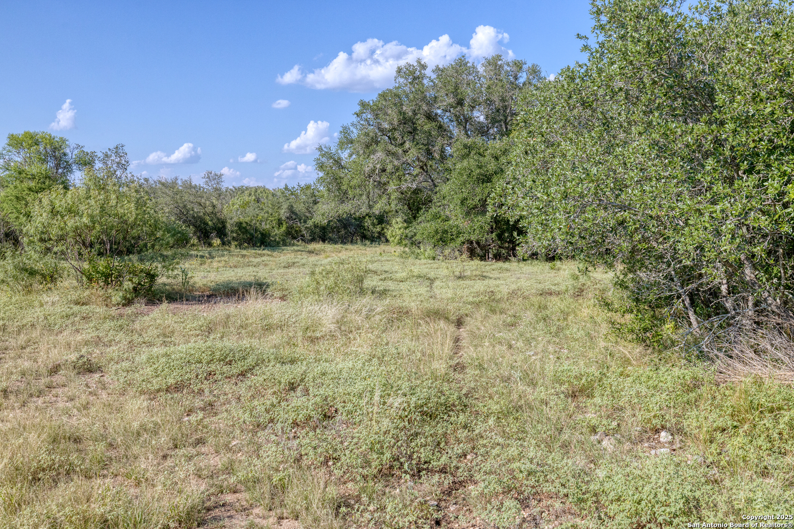 1 Utopia Forest D'Hanis, TX 78850 - Photo 17 of 36 a view of outdoor space and trees