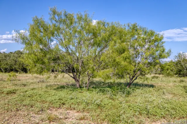 a view of a green field