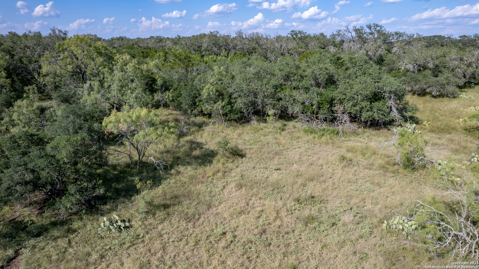 1 Utopia Forest D'Hanis, TX 78850 - Photo 18 of 36 a view of a forest with a lush green forest