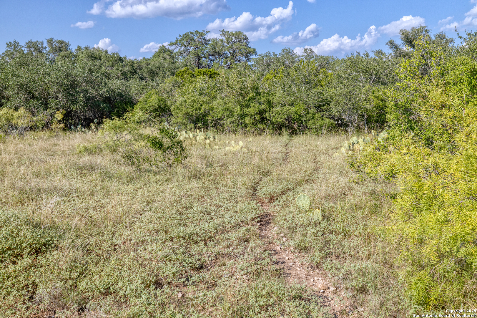 1 Utopia Forest D'Hanis, TX 78850 - Photo 20 of 36 a view of a lake with a building in the background