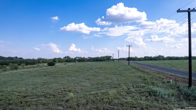a view of a forest with a street