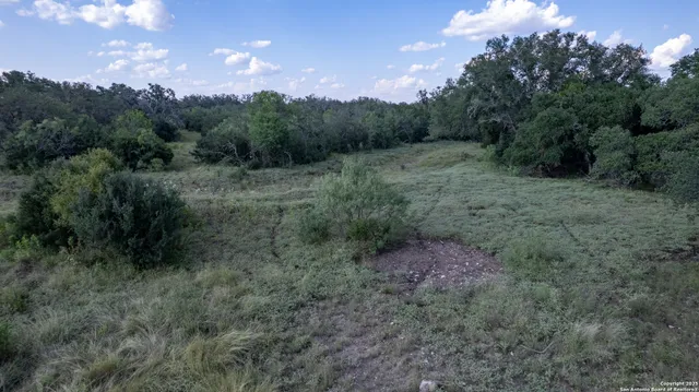 a view of a city and lush green forest