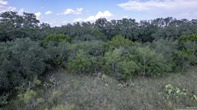 a view of a lush green forest with trees and some houses