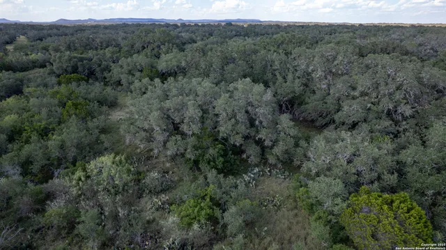 a view of a big yard with lots of green space