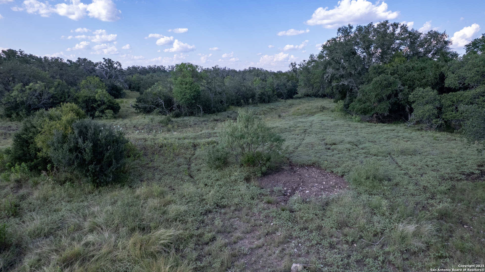 1 Utopia Forest D'Hanis, TX 78850 - Photo 24 of 36 a view of a dry yard with trees in the background