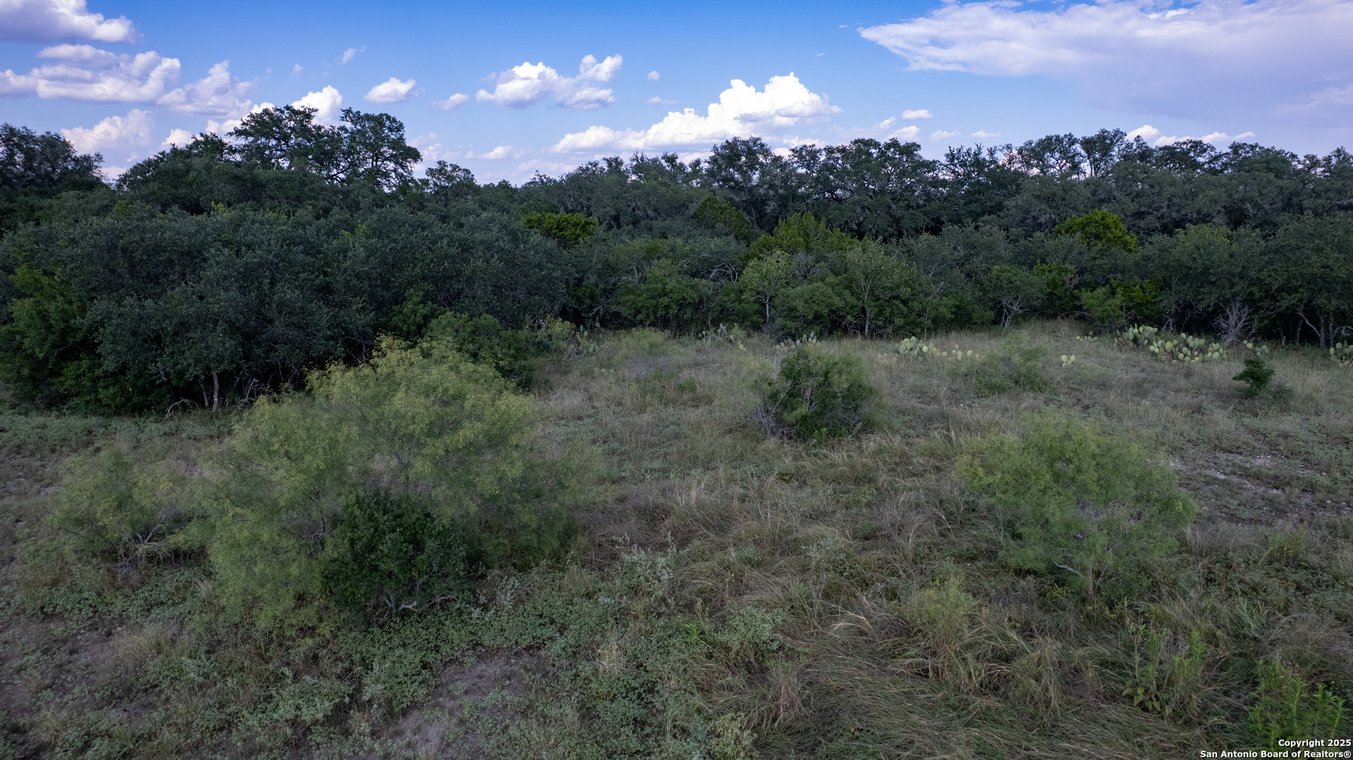 1 Utopia Forest D'Hanis, TX 78850 - Photo 26 of 36 a view of a city and lush green forest