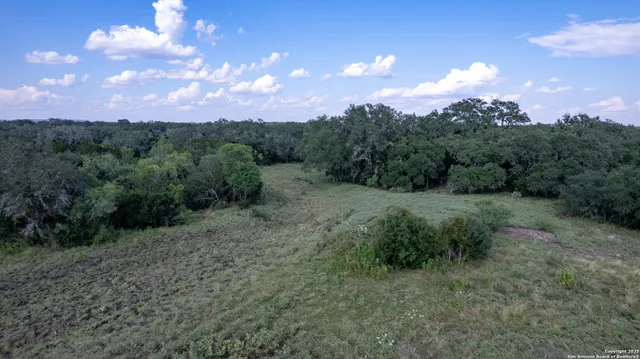 a view of a town with large trees