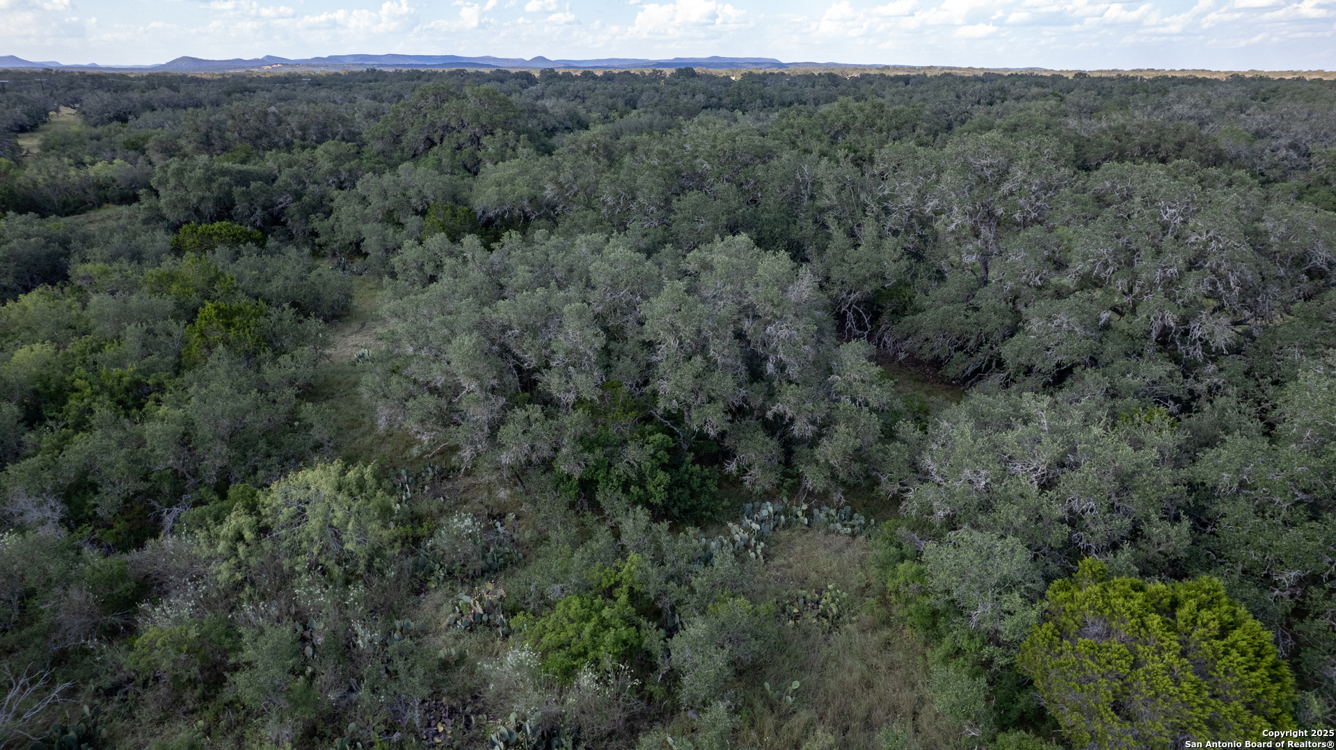 1 Utopia Forest D'Hanis, TX 78850 - Photo 27 of 36 a view of a lush green forest with trees and some houses