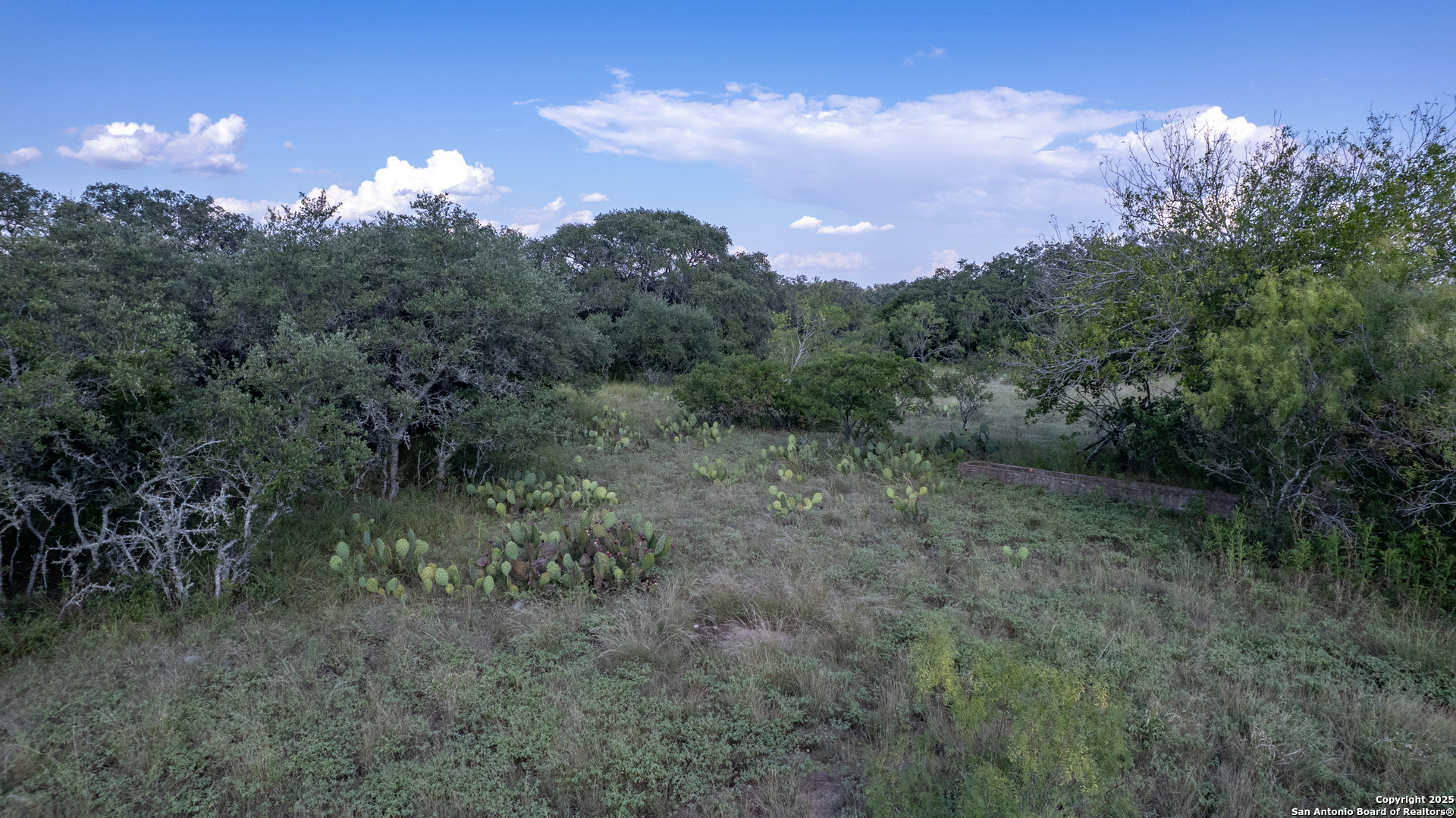 1 Utopia Forest D'Hanis, TX 78850 - Photo 28 of 36 a view of a street