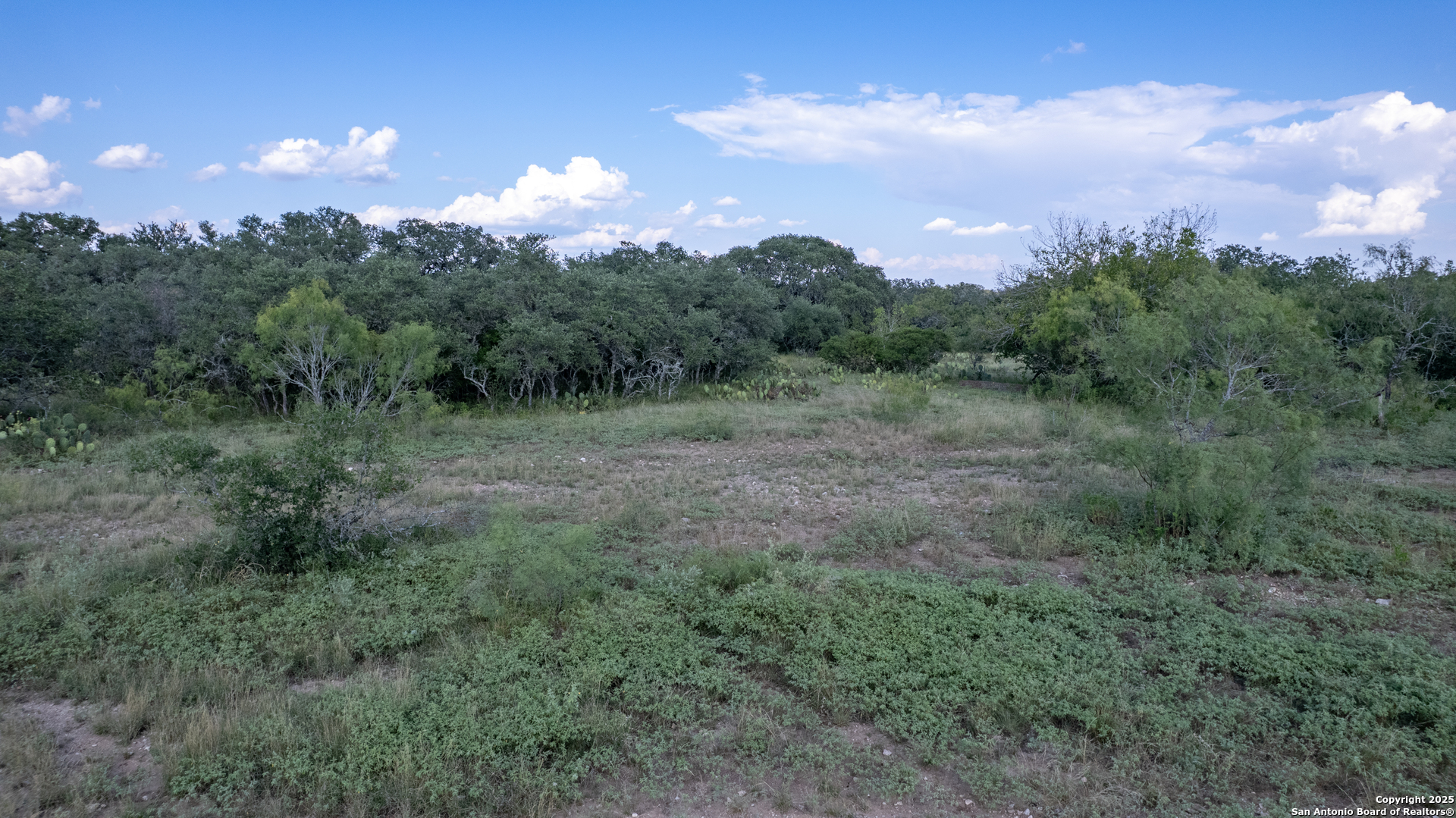 1 Utopia Forest D'Hanis, TX 78850 - Photo 29 of 36 a view of a big yard with lots of green space
