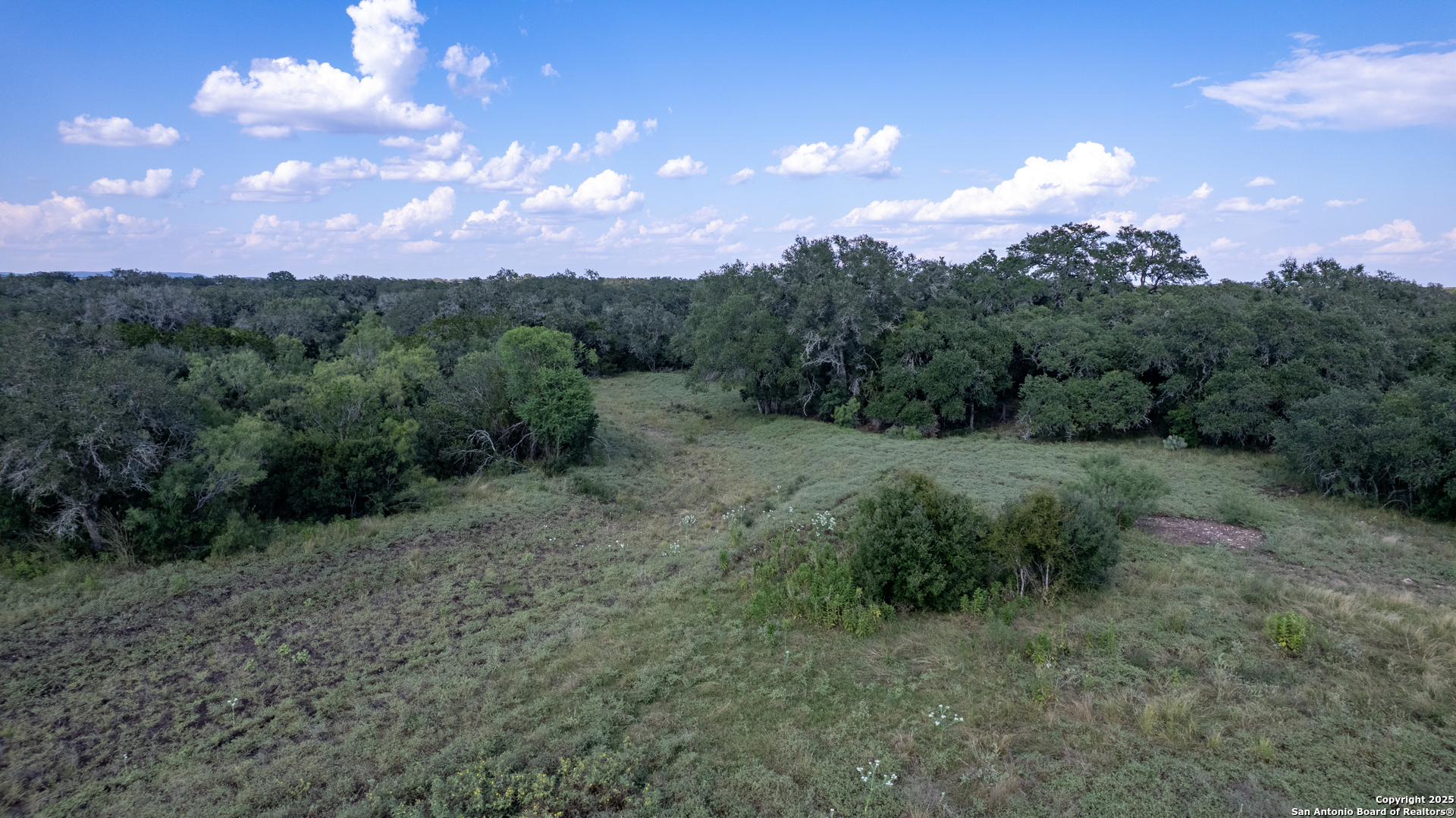 1 Utopia Forest D'Hanis, TX 78850 - Photo 30 of 36 a view of a yard with a tree