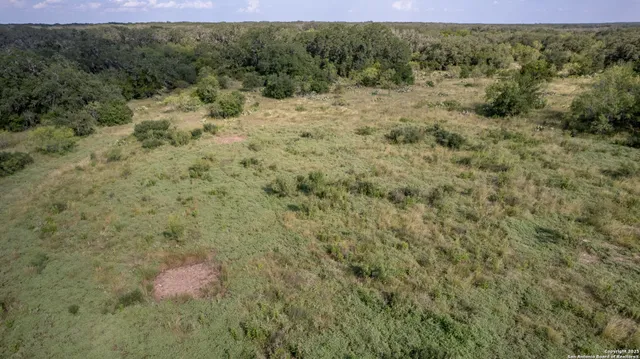 a view of a dry yard