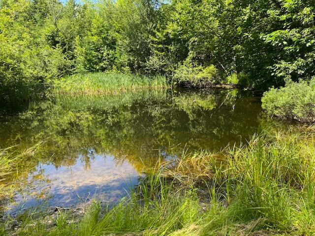 356 Page Road Jackson, ME 04921 - Photo 62 of 74 IMG_9299