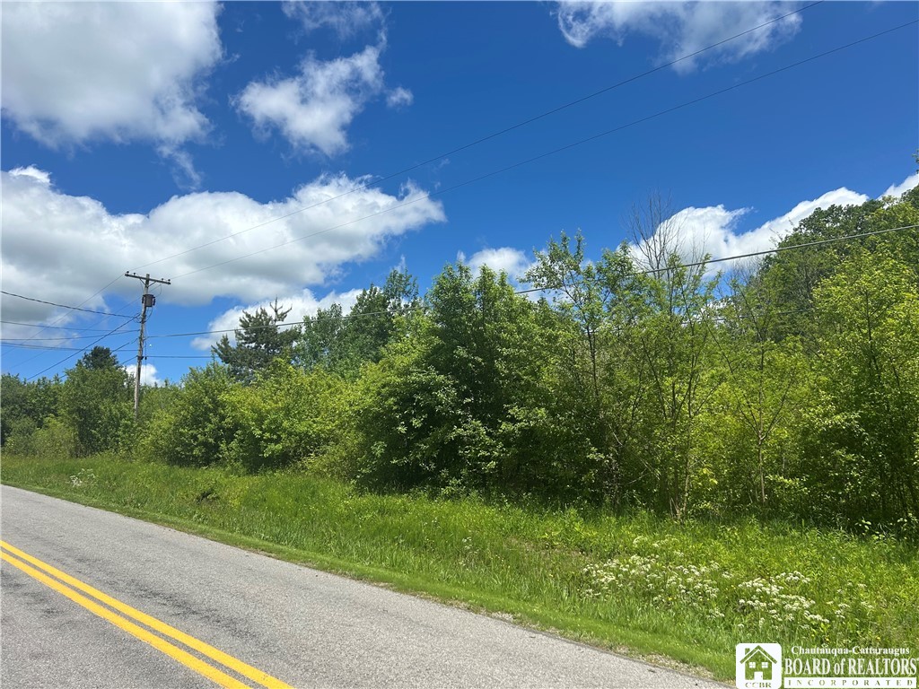 Belleview Road East Bemus Point, NY 14712 - Photo 6 of 6