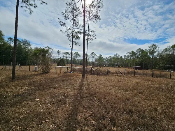 a view of a yard with a tree