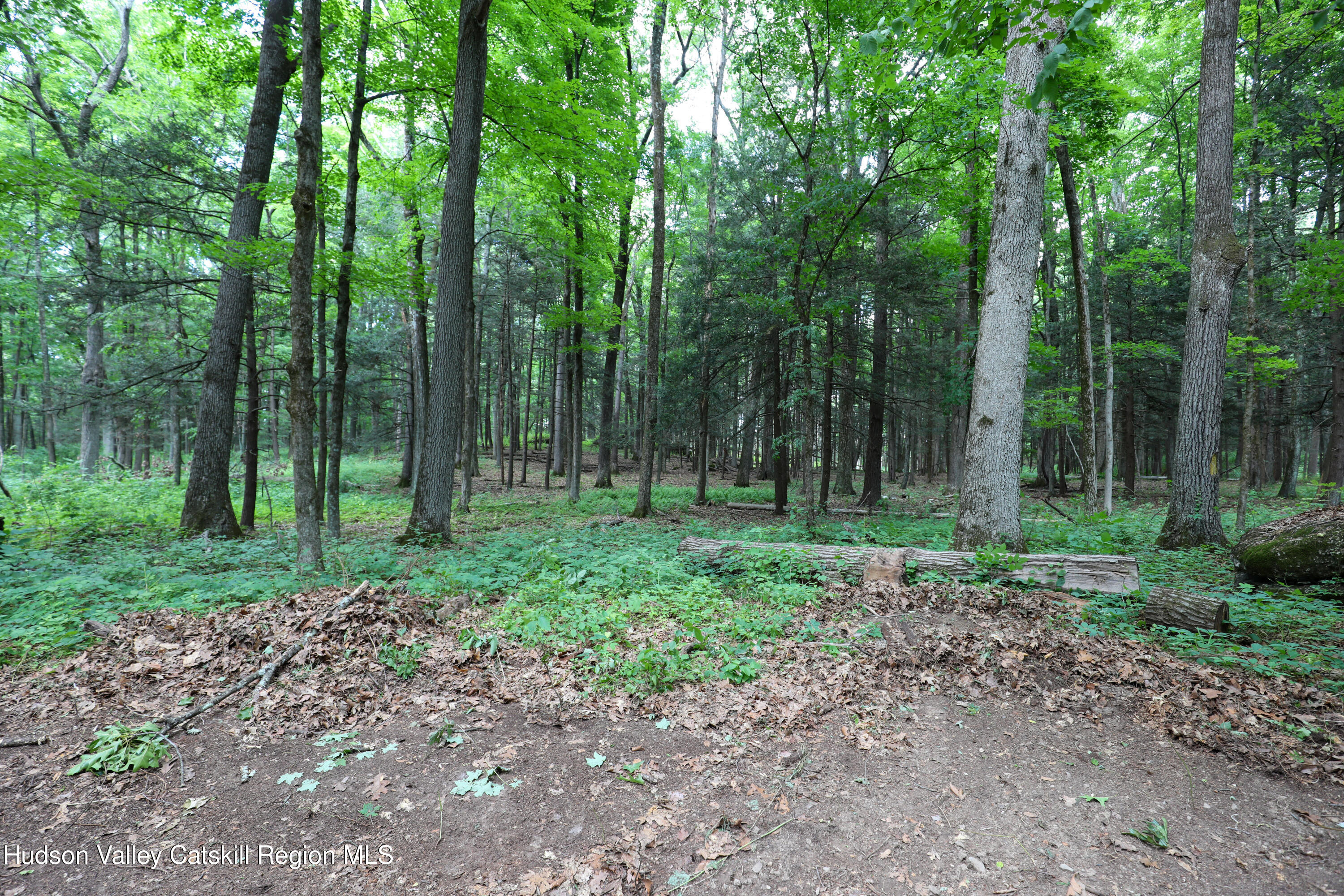 Tbd Old Kings Road Catskill, NY 12414 - Photo 6 of 8 06