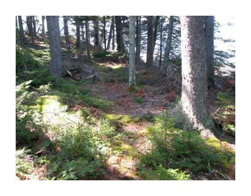 0 Eby Road Friendship, ME 04547 - Photo 15 of 25 Land. There is a walking path around...