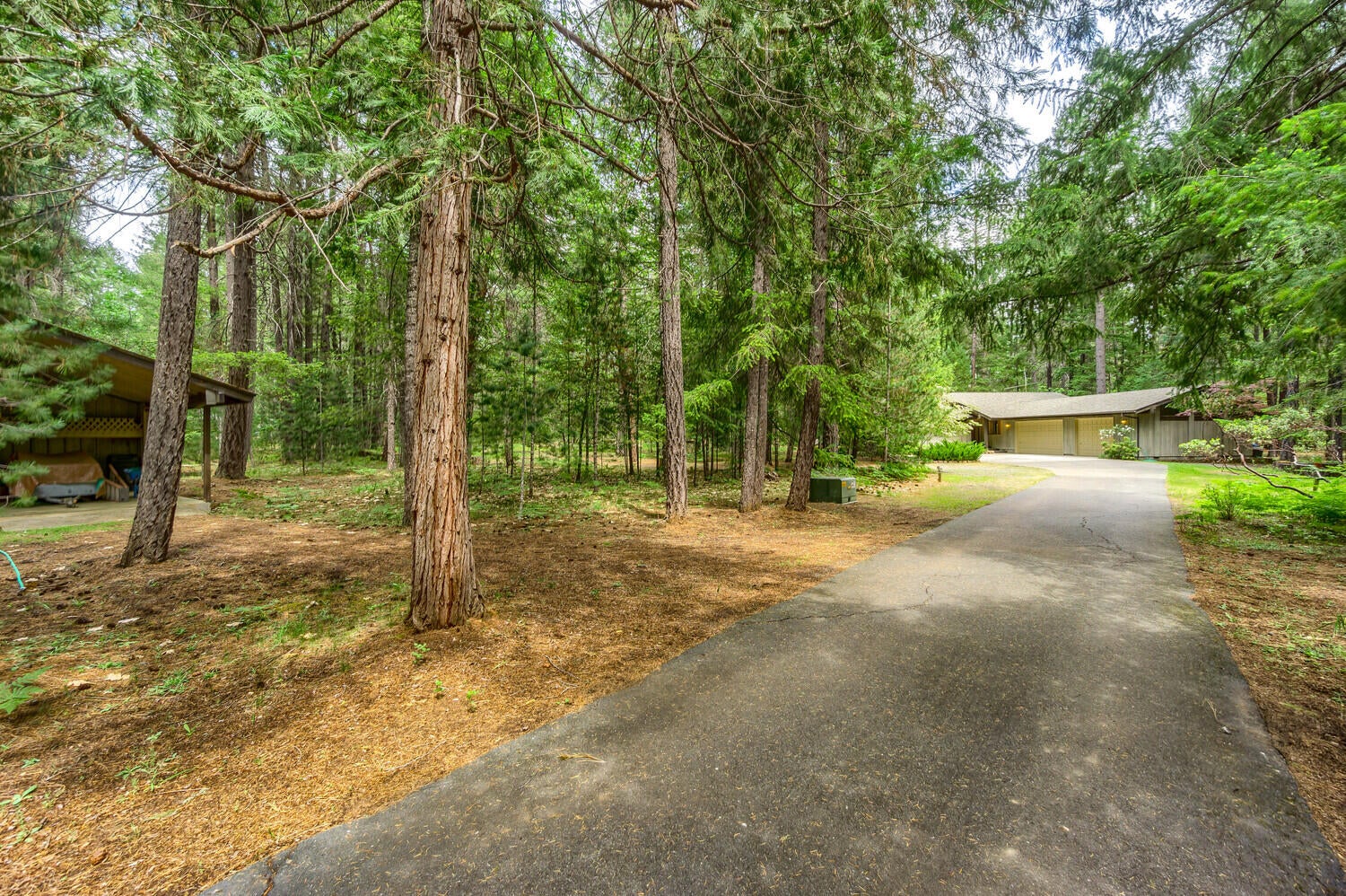 820 Pleasant Creek Road Rogue River, OR 97537 - Photo 37 of 41 10_PCR_10_mls