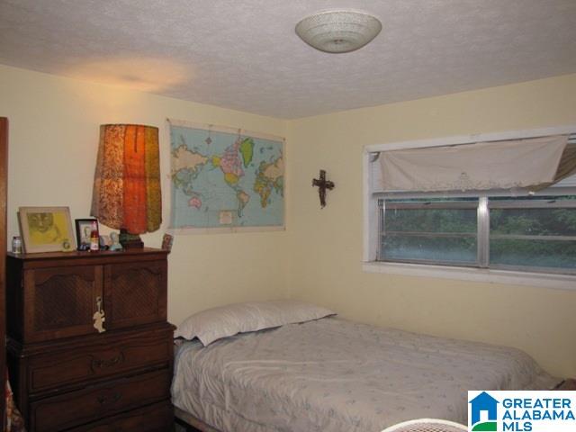 294 Smith Street Riverside, AL 35135 - Photo 10 of 28