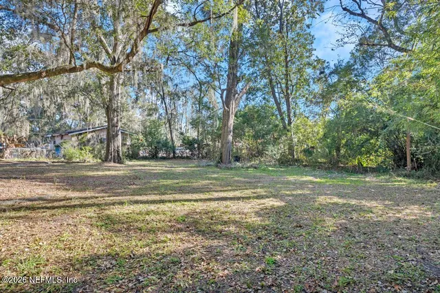 a view of a yard with a trees