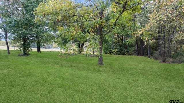 an aerial view of a house with a yard and large tree
