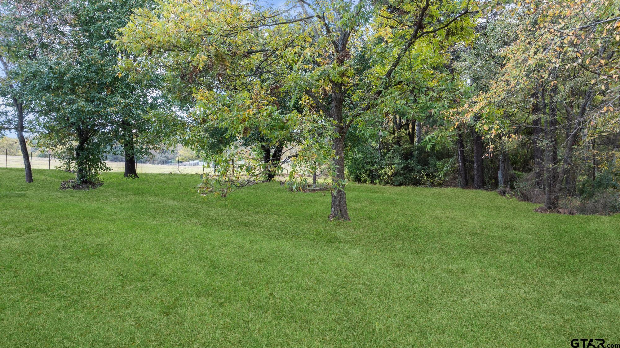 732 Red Maple Road Big Sandy, TX 75755 - Photo 38 of 40 a view of a park with trees in the background