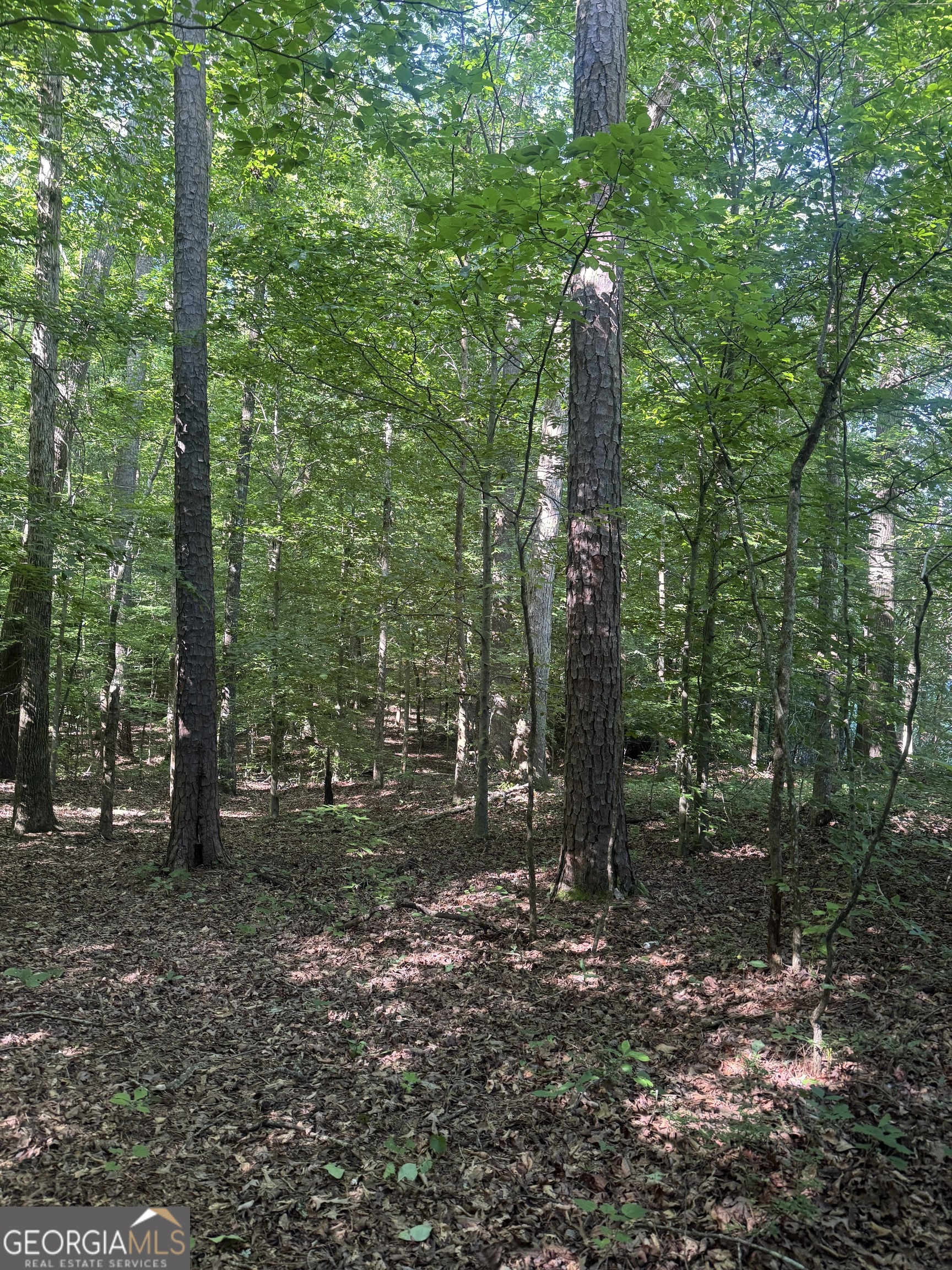 435 North 27th Highway Roopville, GA 30170 - Photo 4 of 5