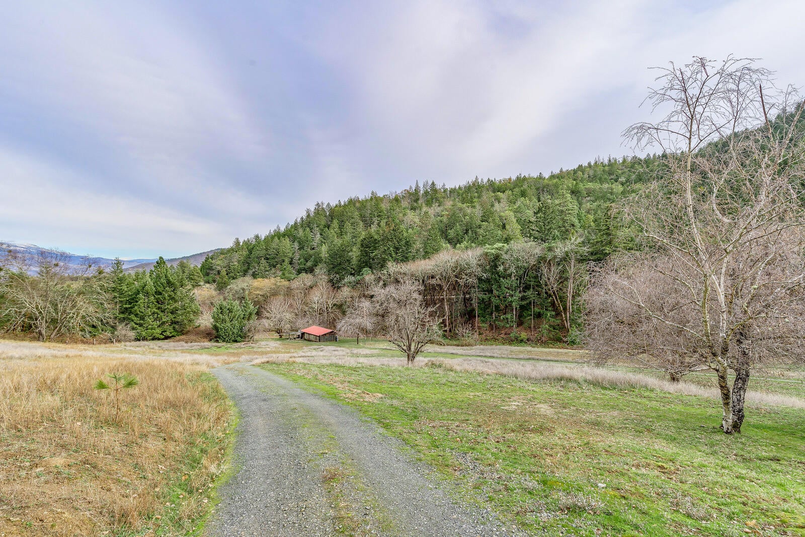 2128 Anderson Creek Road Talent, OR 97540 - Photo 36 of 87 22_ACr_22_mls