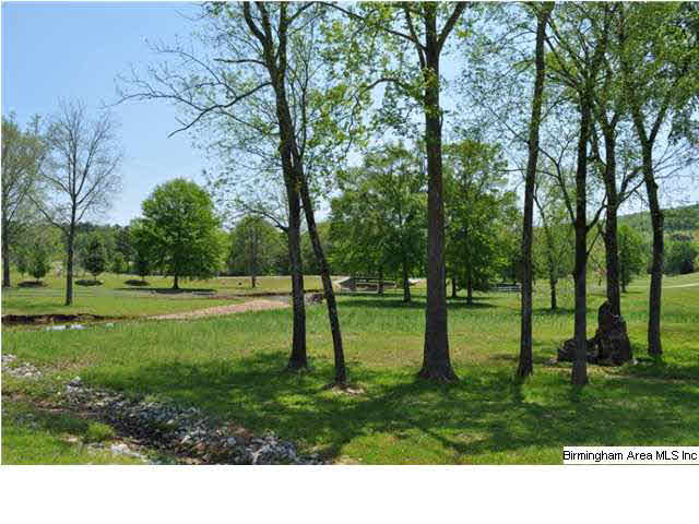 90 Greenbriar Lane, Unit 21 Springville, AL 35146 - Photo 6 of 11
