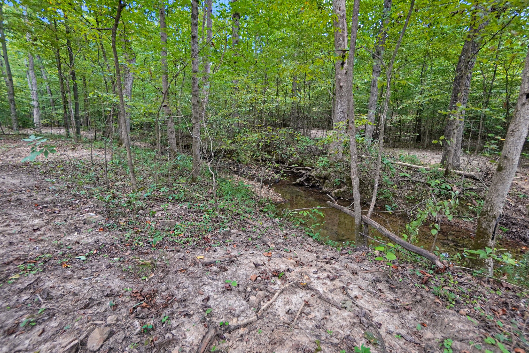 12 Ribbon Branch Road Dover, TN 37058 - Photo 1 of 14 Gallery Image 1