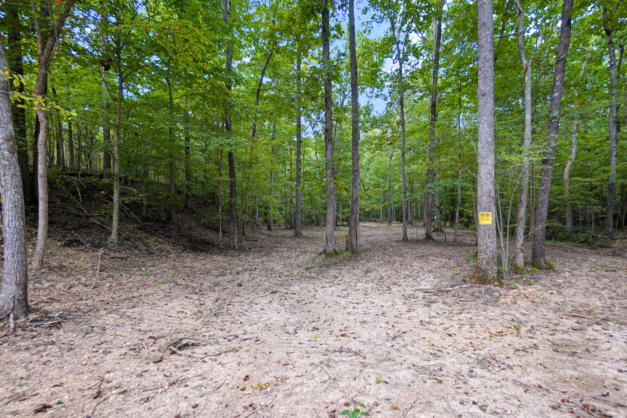 12 Ribbon Branch Road Dover, TN 37058 - Photo 5 of 14 Gallery Image 5